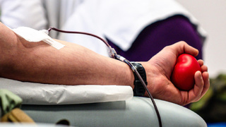 Česká krev pro Litvu. Průzkumníci pomáhají, kde je to potřeba