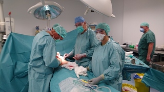 Působení 2. polního chirurgického týmu v Kábulu je u konce