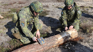 Jak zabránit nepříteli v postupu? Ženisté v Lotyšsku trénovali na skutečném mostě