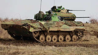 Na Slovensku se slaďovaly roty při cvičení Rising Bear