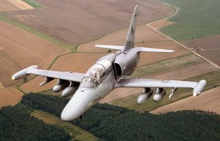 Illustration picture to the article L-159 ALCA