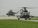 Exercise Ample Strike 2014 - (1)