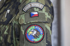 Badge of exercise Ample Strike 2014 - 1