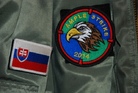 Badge of exercise Ample Strike 2014 - 2