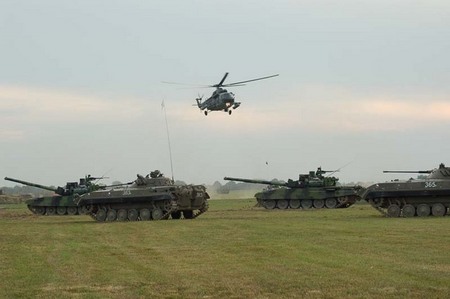 NATO DAY 2006: Land Forces display