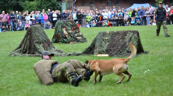 Den ozbrojených sil oslavila armáda v Ostravě akcí pro veřejnost