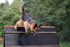 Today, recovered Athos resumes training