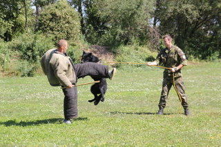 Potřebám armády uzpůsobujeme výcvik, nikoliv psa