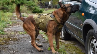 Pyrotechnikům pomáhají psi, roboti i speciální rentgeny 