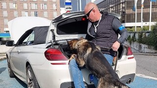 Bezpečnost českého předsednictví zajišťují rovněž psi a psovodi Vojenské policie