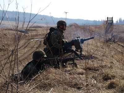 Czech and Polish paratroopers demonstrate their skills during Paratrooper Fire exercise