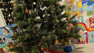 Vánoční svátky ve službě. České zvyky a tradice v mezinárodním prostředí zahraničních operací