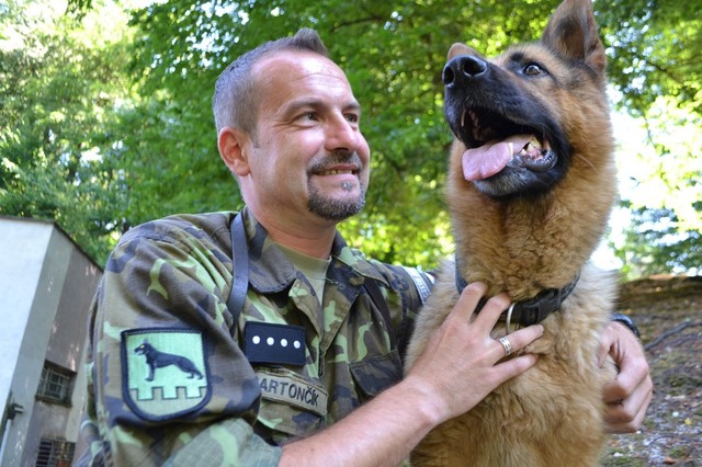 Víte, kdo je válečný veterán? 