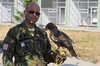 Sokol, káně i raroh pomáhají zajišťovat bezpečnost letového provozu nejen během cvičení Ample Strike 