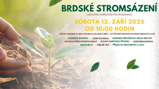 Brdské stromsázení už tuto sobotu, přijďte si zasadit buk, jabloň či hrušku