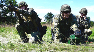 Božena, rypadla, ale i bojová vozidla pěchoty. Olomoučtí ženisté cvičí na Libavé