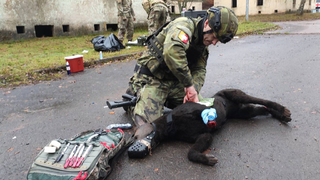 Správný postup může zachránit čtyřnohého vojáka na bojišti