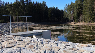 Vojenské lesy investovaly vloni do zadržování vody 28 milionů, v lesích vzniklo osm nových nádrží