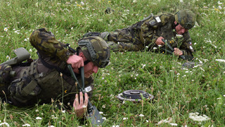 Taktika, zřizování minových polí nebo průzkum mostu. Ženijní specialisté Teritoriálních sil prošli náročným cvičením