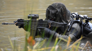 Ženijní průzkumník zvládne zničit most i zajistit průchod své jednotce
