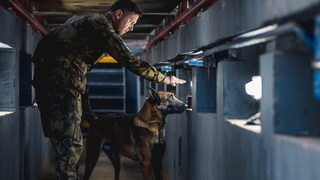 Skutečné trhaviny a drogy. Policejní psovodi a psi trénovali na hokejové MS, připojili se i kolegové z armády
