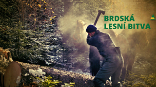  VLS zvou do Brd na druhý ročník soutěže tažných koní v reálném lesním terénu