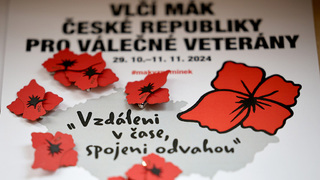 Ministerstvo obrany představilo novou podobu vlčích máků k uctění minulých i současných hrdinů, válečných veteránů 