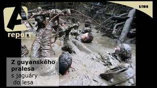 Nejnovější číslo A reportu představuje mimo jiné ředitele Mnohonárodního centra pro koordinaci logistiky 