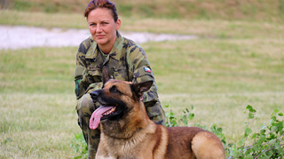 Osmý ročník Memoriálu Vojtěcha Plačka s mezinárodní účastí ovládl pes Awax