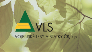 VLS vyhlašuje zákaz vstupu do lesů na Vyškovsku