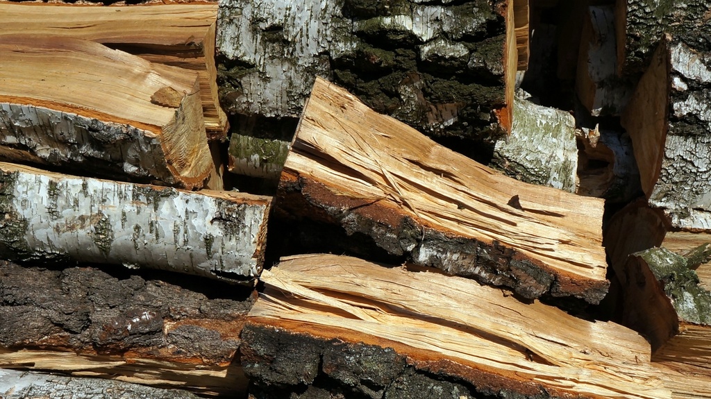 Vojenské lesy zlevnily palivové dříví o čtvrtinu. Vyzývají maloodběratele, aby se předzásobili