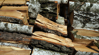 Vojenské lesy a statky nepředpokládají růst cen palivového dříví, jako v loňské topné sezóně