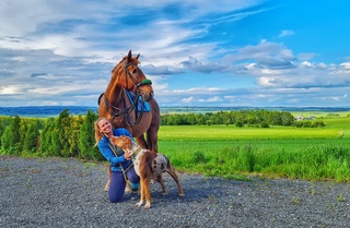Běh, koně a psi jsou jejím osudem