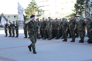 Vojenská akademie ve Vyškově oslavila Den ozbrojených sil České republiky slavnostním nástupem
