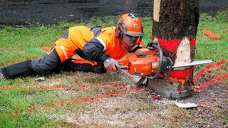 Nejlepší dřevorubci se už tuto sobotu utkají v Ralsku. Přijeďte fandit!