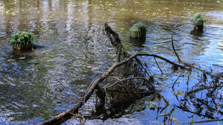 Najdete je? Strakoničtí trénovali skryté plavání