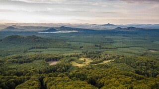 Vojenské lesy dokončily v roce 2022 obnovu po kalamitě a odstartovaly revoluci v hospodaření