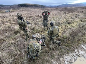 Cvičení WESTERN POWER 2025: zacházení s válečnými zajatci v podmínkách moderního konfliktu