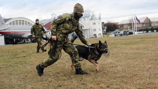 Ve Kbelích testují nové strážní psy: Rozhodit je nesmí hluk z letadel ani střelba