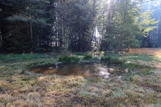 Vojenské lesy v Brdech vybudovaly dalších 13 tůní