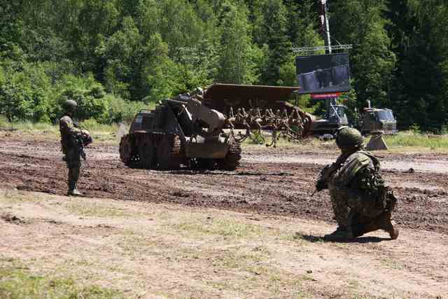 Bozena demining device