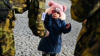 FOTO: Vlčí máky napříč Českem. Podívejte se, jak vypadaly u vás