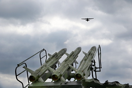 'Safeguard Temelin 2017' exercise secures nuclear power plant 