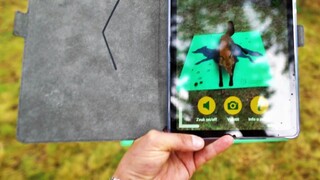 Na armádní akci na Náplavce přivezou Vojenské lesy jelena i zubra