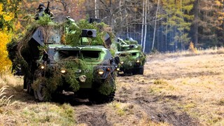 Poprvé od 2. světové války a s houfnicemi DANA zřejmě naposledy. Dělostřelci se chystají na misi do Litvy