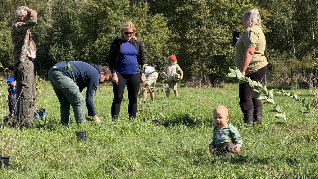 Stromy, voda, koně i vojáci. Brdské stromsázení přilákalo tisíce návštěvníků