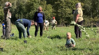 Stromy, voda, koně i vojáci. Brdské stromsázení přilákalo tisíce návštěvníků
