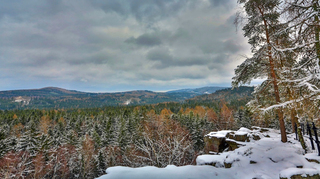 Vojenské lesy a statky: Úspěšní lesníci, zemědělci i producenti kaprů na vánoční stoly