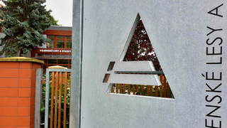 Vojenské lesy a statky budou mít od dubna nové vedení