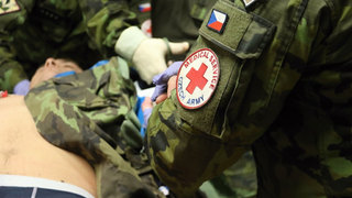 Armáda podpoří jednotky IZS na hraničních přechodech